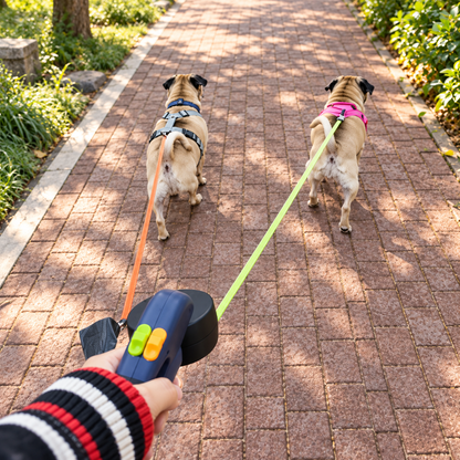 360 Retractable Dog Leash for Two Dogs