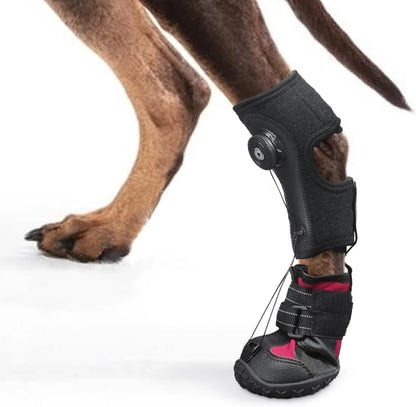 Dog Shoes
