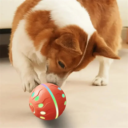 Electric Interactive Ball