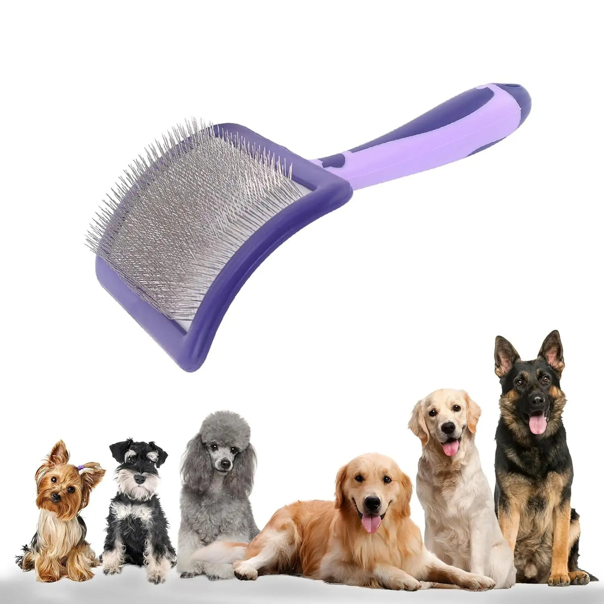 Dog Brush