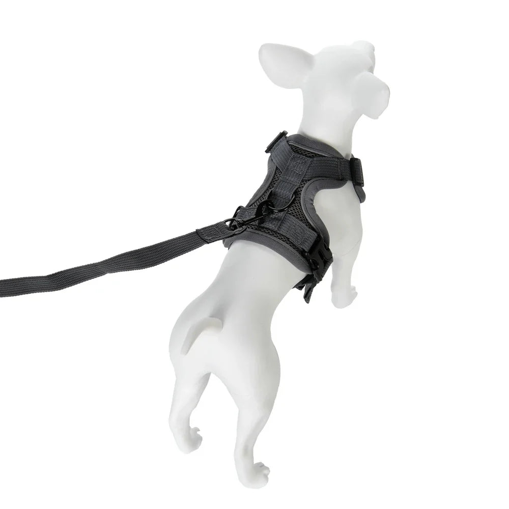 Dog Harness Leash Set For Small Medium Dogs