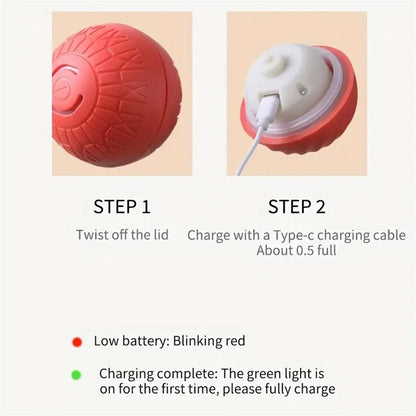 Electric Interactive Ball