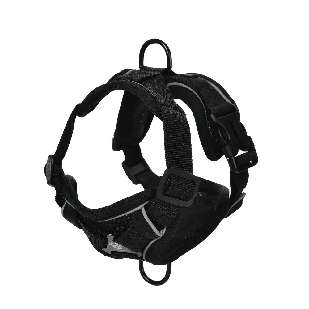 Dog Harness Leash Set For Small Medium Dogs