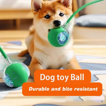 Interactive Toy Ball