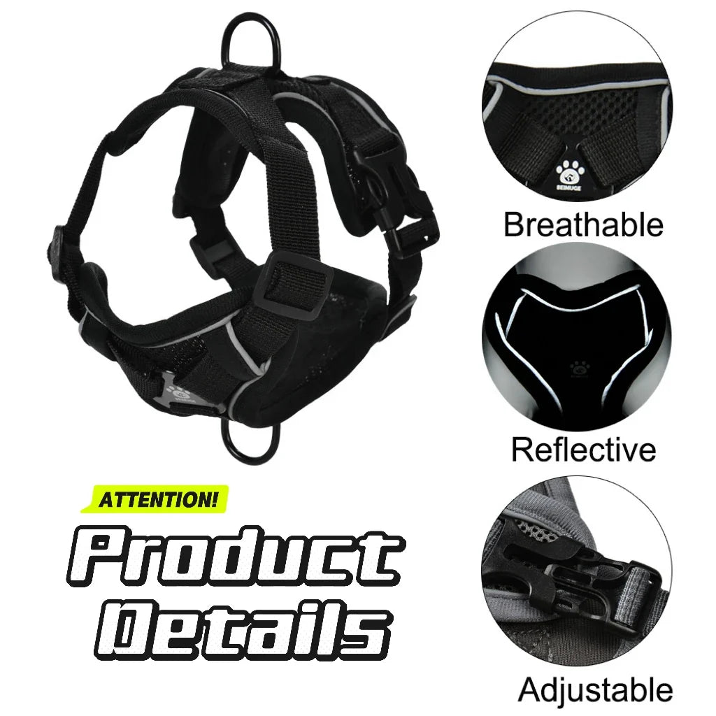 Dog Harness Leash Set For Small Medium Dogs