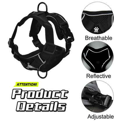 Dog Harness Leash Set For Small Medium Dogs