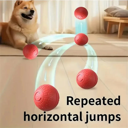 Electric Interactive Ball