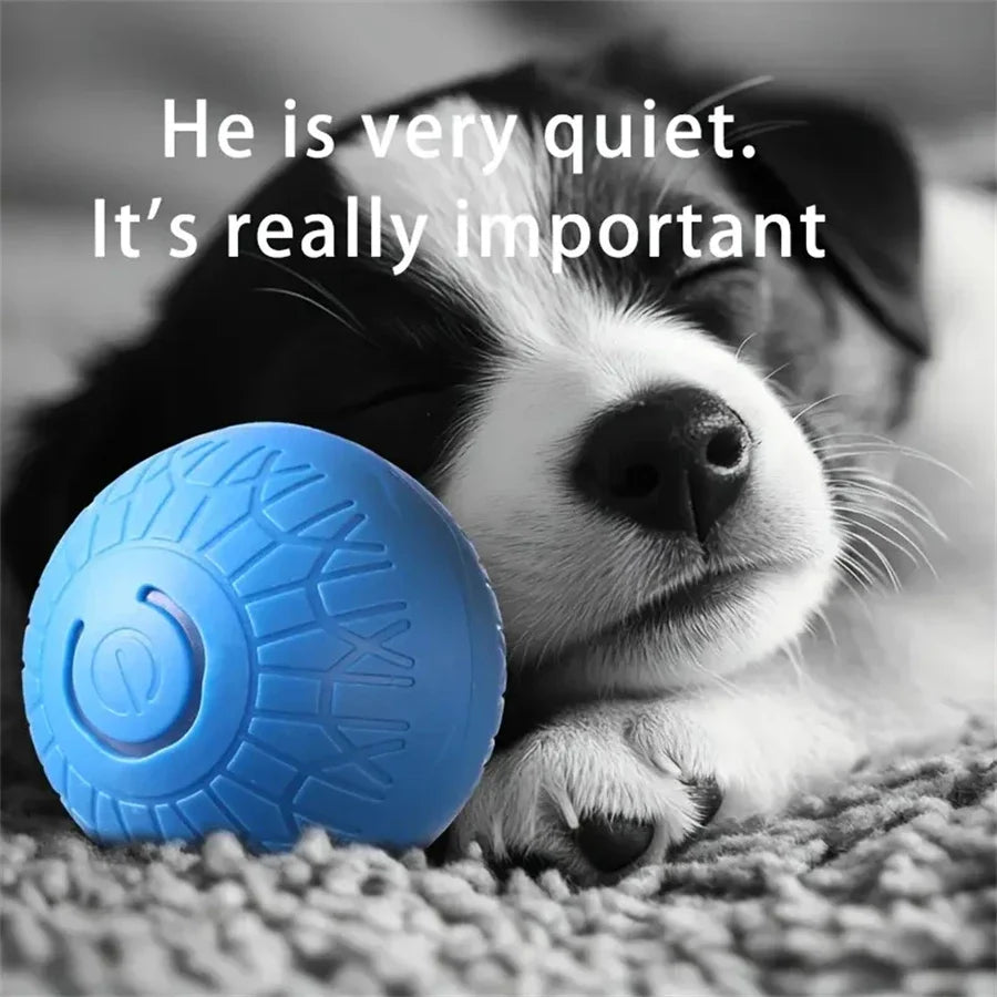 Electric Interactive Ball