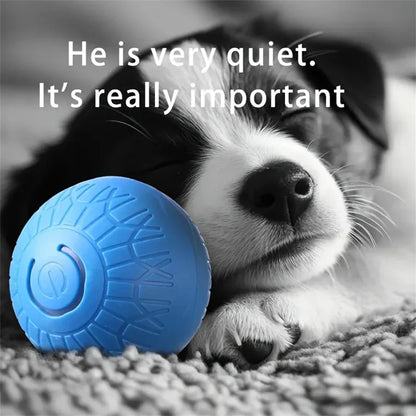 Electric Interactive Ball