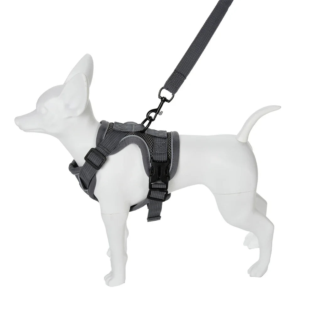 Dog Harness Leash Set For Small Medium Dogs
