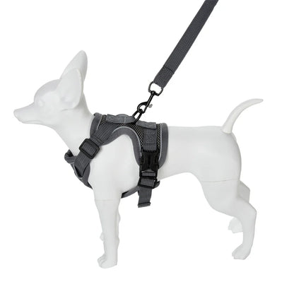Dog Harness Leash Set For Small Medium Dogs
