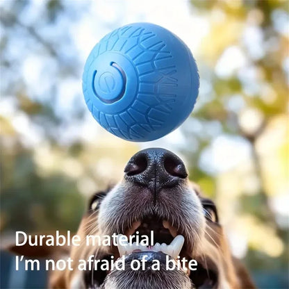 Electric Interactive Ball
