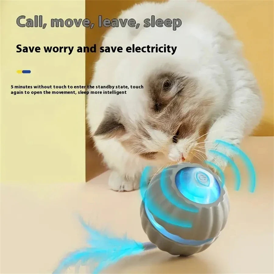 Electric Interactive Ball