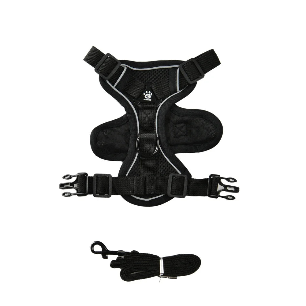 Dog Harness Leash Set For Small Medium Dogs