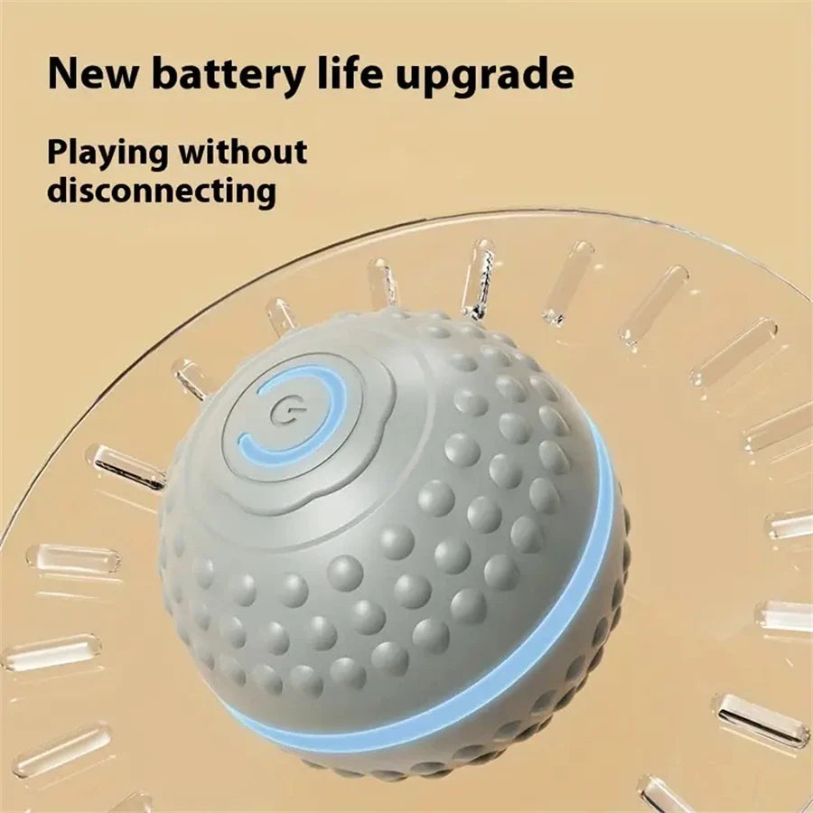 Electric Interactive Ball