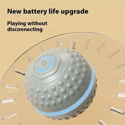 Electric Interactive Ball
