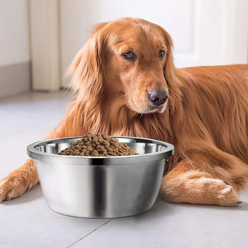 Stainless Steel Dog Feeders