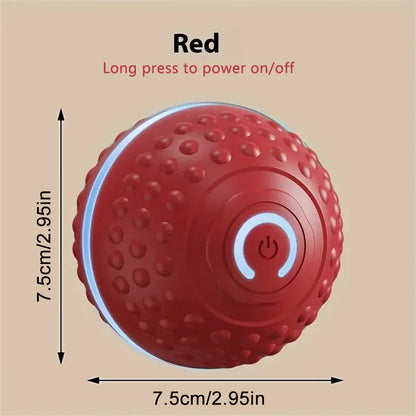 Electric Interactive Ball