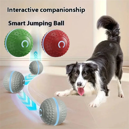 Electric Interactive Ball