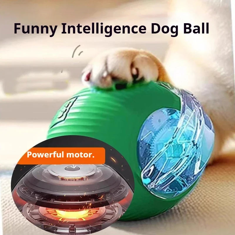 Interactive Toy Ball