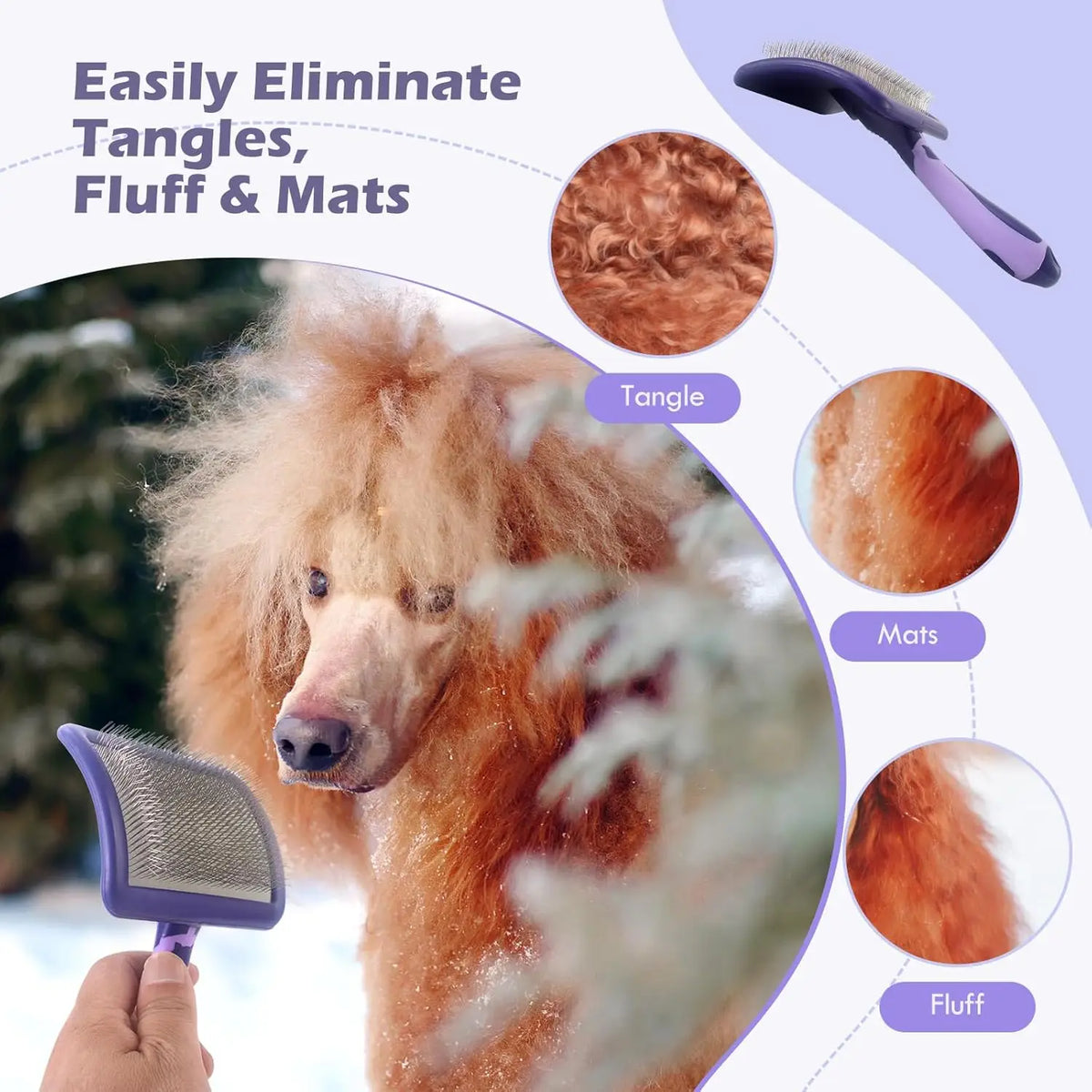 Dog Brush