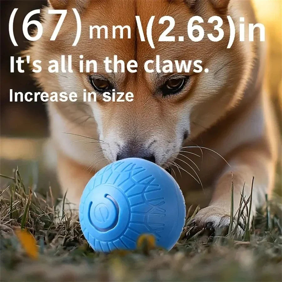 Electric Interactive Ball