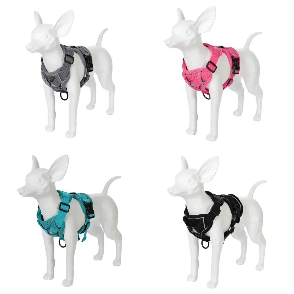 Dog Harness Leash Set For Small Medium Dogs