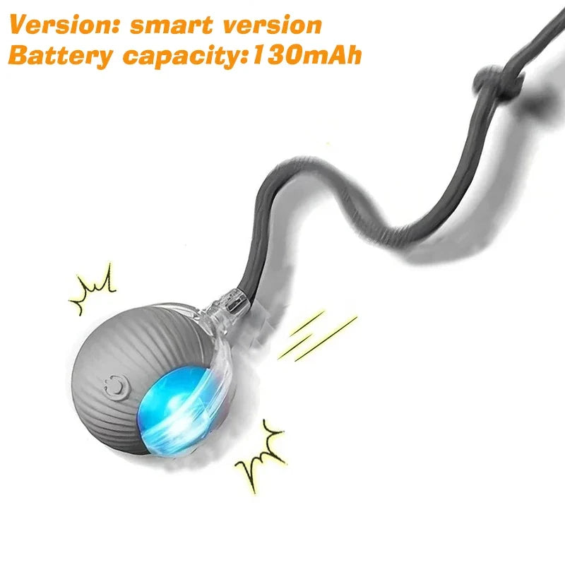 Interactive Toy Ball