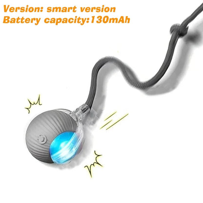 Interactive Toy Ball