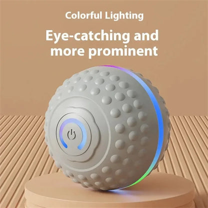 Electric Interactive Ball