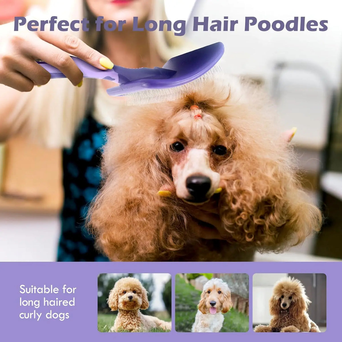 Dog Brush