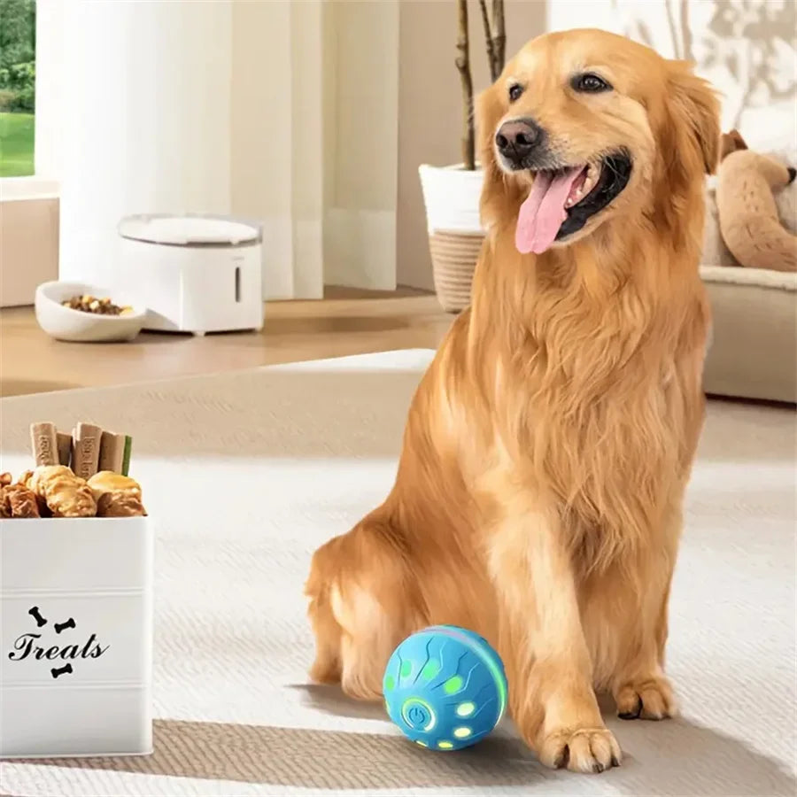 Electric Interactive Ball
