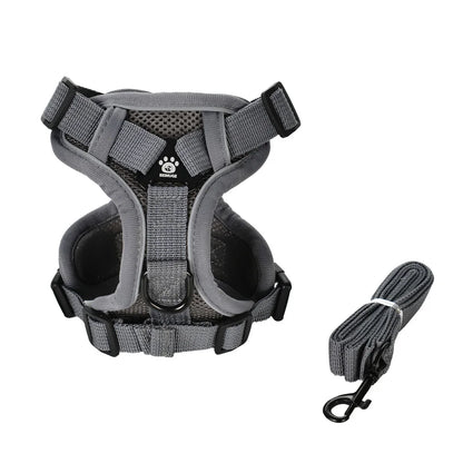 Dog Harness Leash Set For Small Medium Dogs