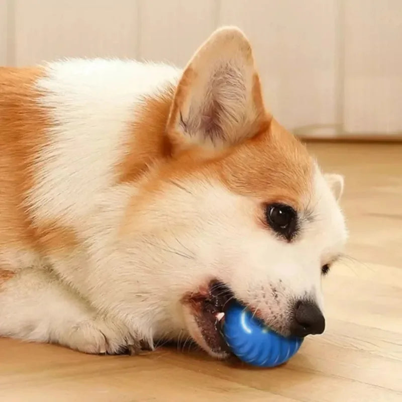 Automatic Moving Ball