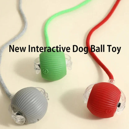 Interactive Toy Ball