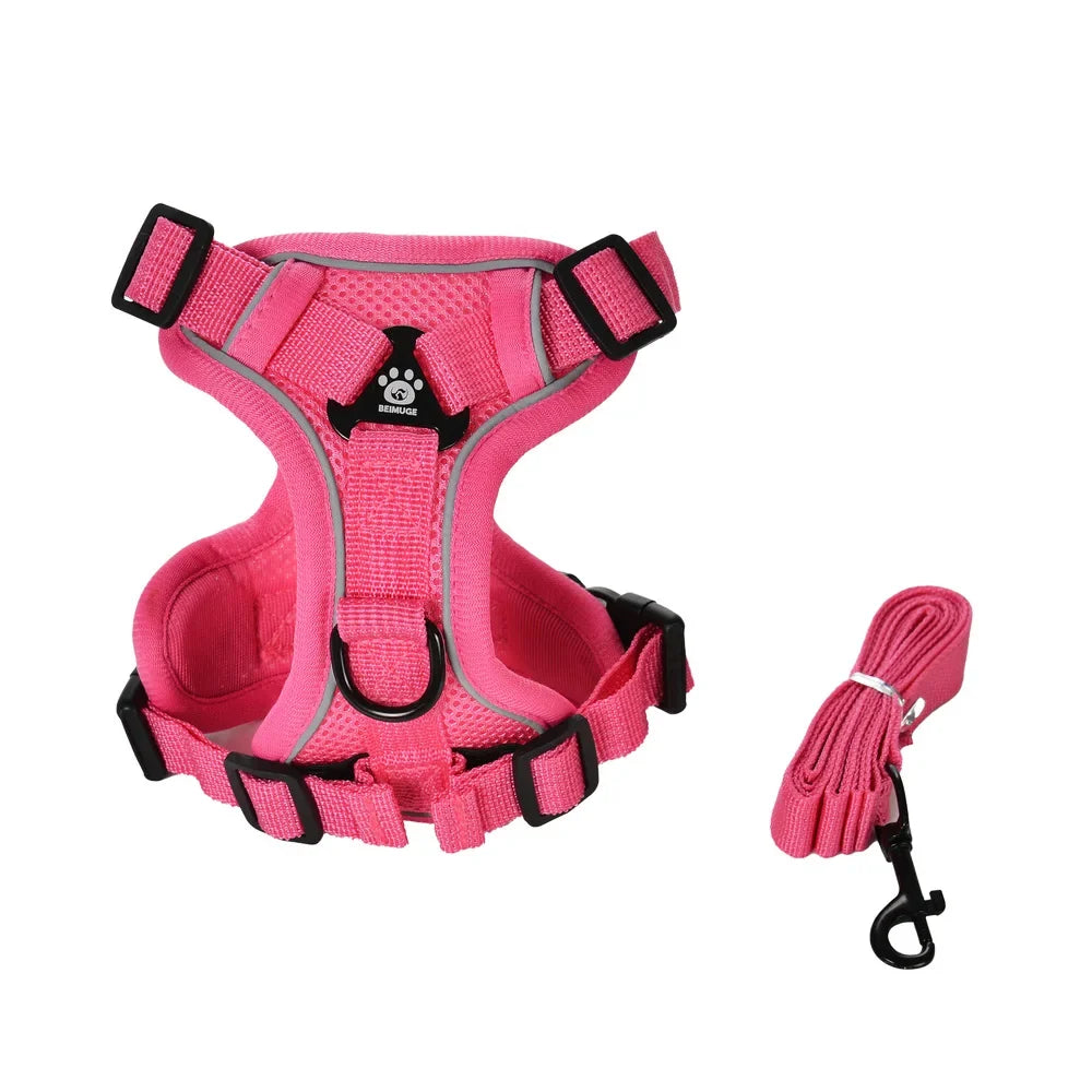 Dog Harness Leash Set For Small Medium Dogs