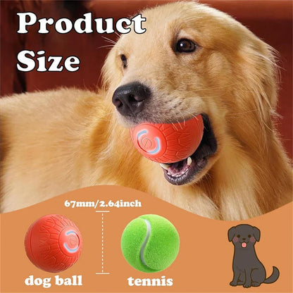 Electric Interactive Ball