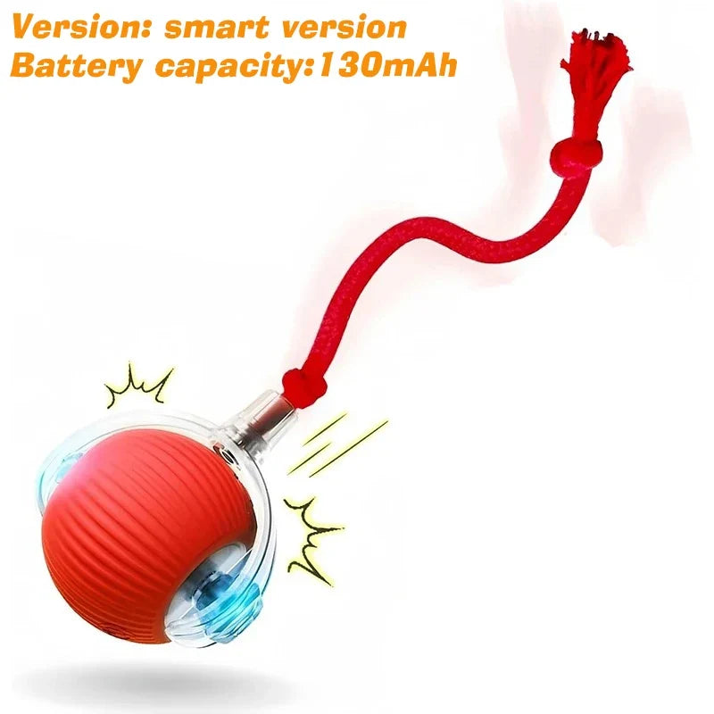 Interactive Toy Ball