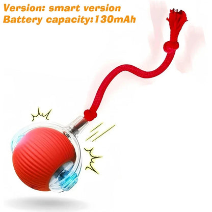 Interactive Toy Ball