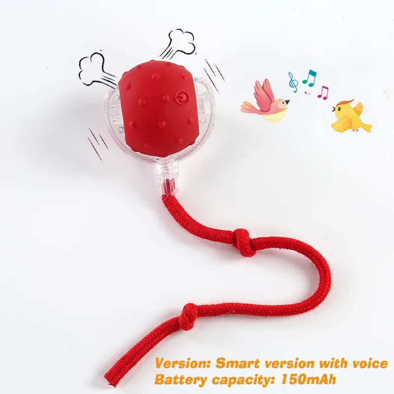 Interactive Toy Ball