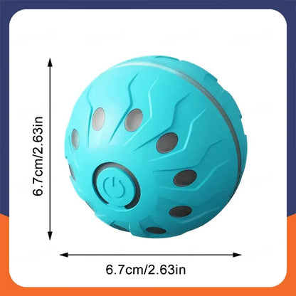 Electric Interactive Ball