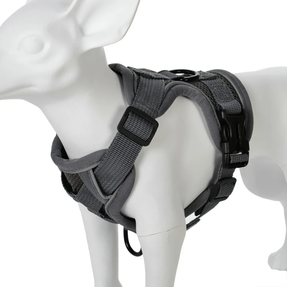 Dog Harness Leash Set For Small Medium Dogs
