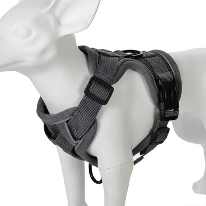Dog Harness Leash Set For Small Medium Dogs