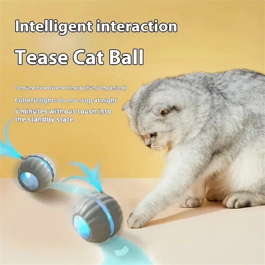 Electric Interactive Ball