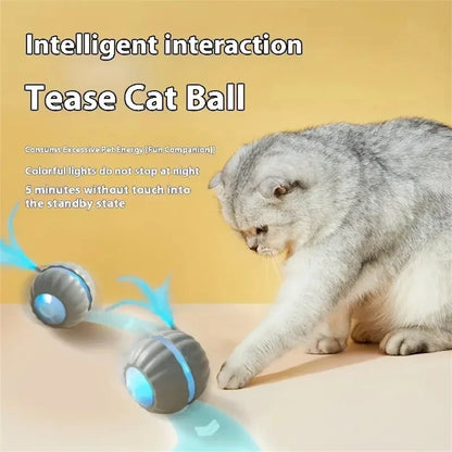 Electric Interactive Ball