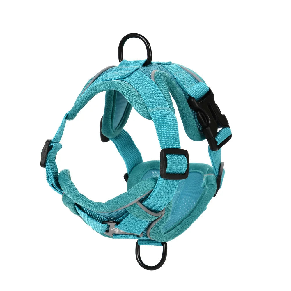 Dog Harness Leash Set For Small Medium Dogs