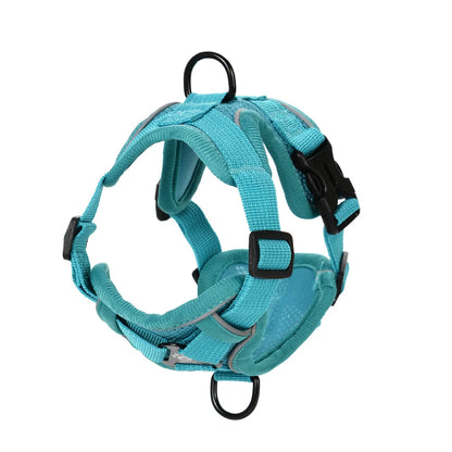 Dog Harness Leash Set For Small Medium Dogs