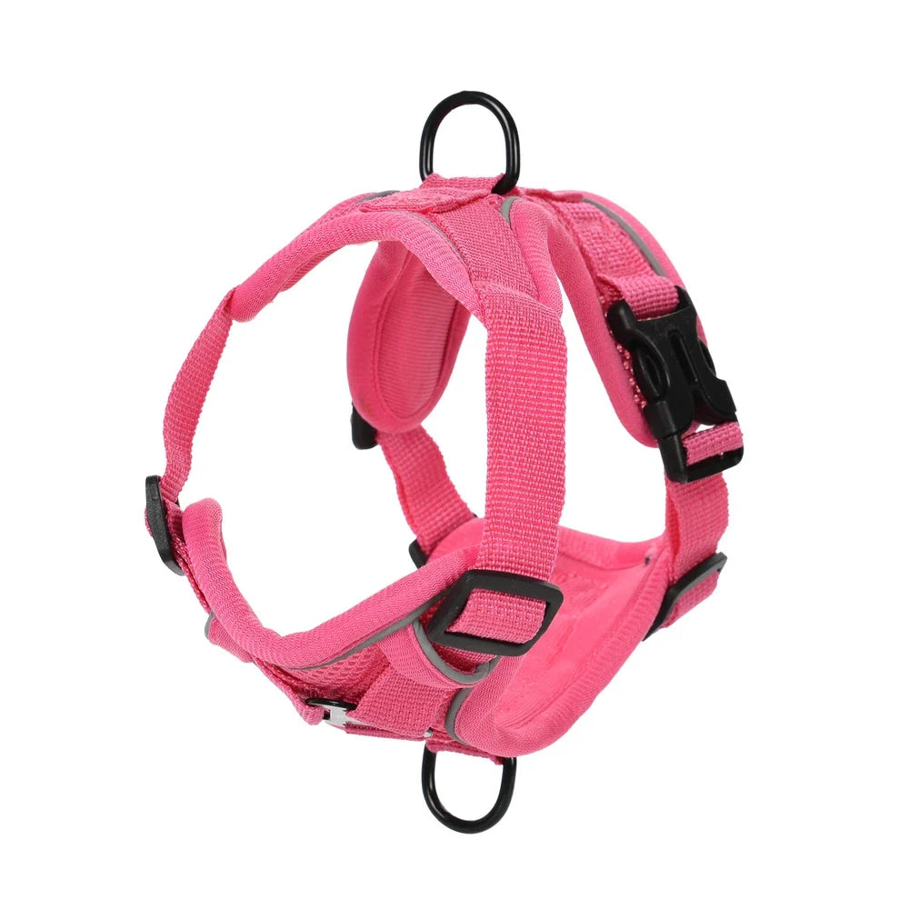 Dog Harness Leash Set For Small Medium Dogs