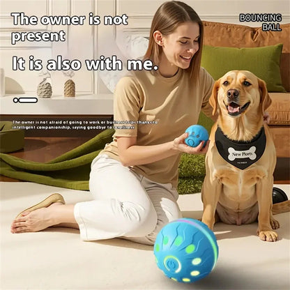 Electric Interactive Ball