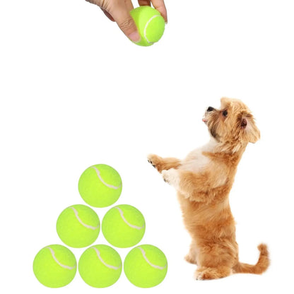 Tennis Balls for Dogs